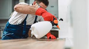 Best Real Estate Pest Inspections  in Woodbury, MN